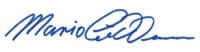 Unterschrift Mario Lüddemann